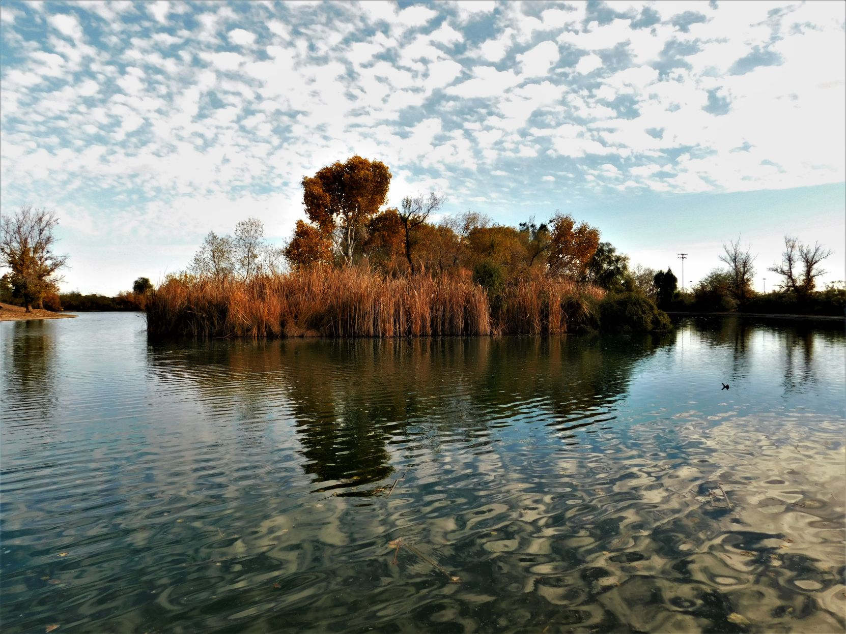 Reflections